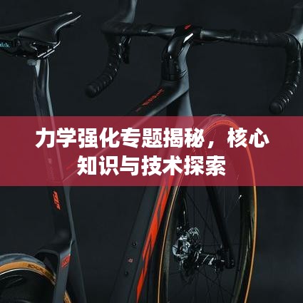 力学强化专题揭秘，核心知识与技术探索