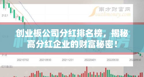 创业板公司分红排名榜，揭秘高分红企业的财富秘密！