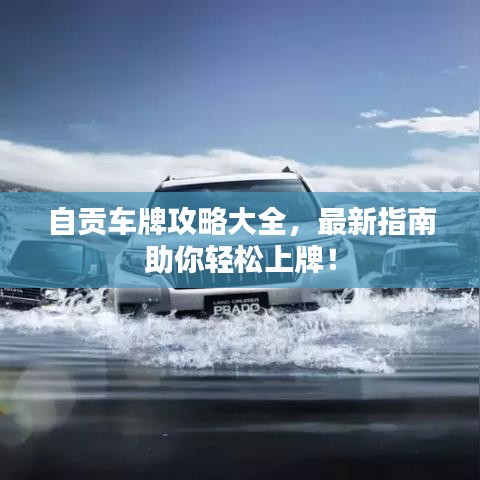 自贡车牌攻略大全，最新指南助你轻松上牌！