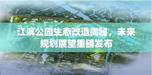 江滨公园生态改造揭秘，未来规划展望重磅发布