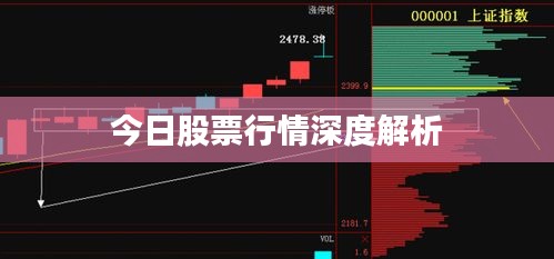 今日股票行情深度解析