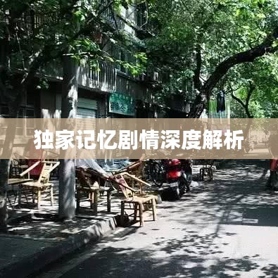 独家记忆剧情深度解析