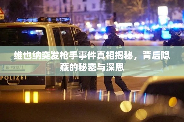 维也纳突发枪手事件真相揭秘，背后隐藏的秘密与深思