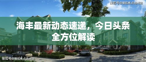 海丰最新动态速递，今日头条全方位解读