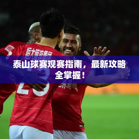 泰山球赛观赛指南，最新攻略全掌握！