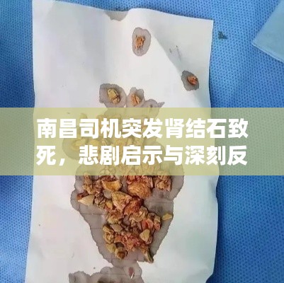 南昌司机突发肾结石致死，悲剧启示与深刻反思