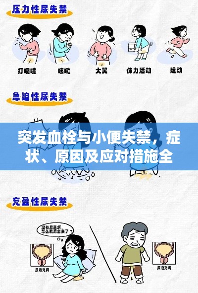 突发血栓与小便失禁，症状、原因及应对措施全解析