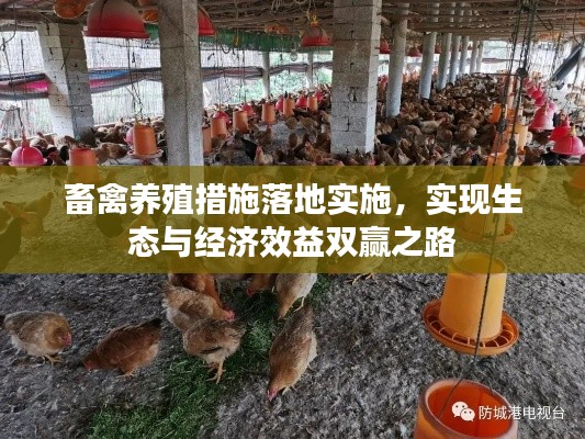 畜禽养殖措施落地实施，实现生态与经济效益双赢之路