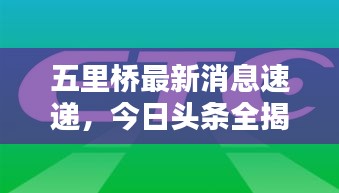 五里桥最新消息速递，今日头条全揭秘！