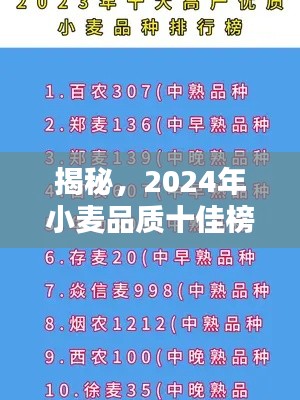 揭秘，2024年小麦品质十佳榜单解析