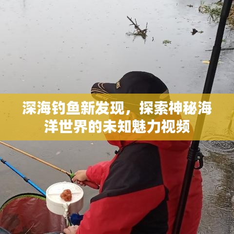 深海钓鱼新发现，探索神秘海洋世界的未知魅力视频