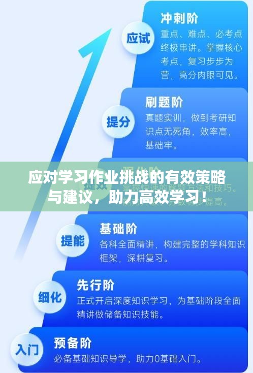 应对学习作业挑战的有效策略与建议，助力高效学习！