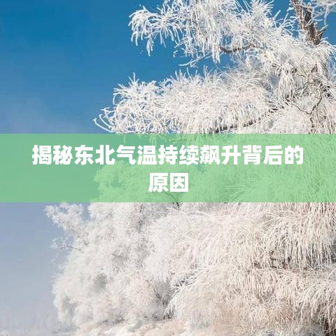 揭秘东北气温持续飙升背后的原因