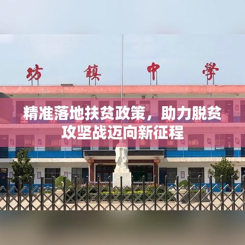 精准落地扶贫政策，助力脱贫攻坚战迈向新征程