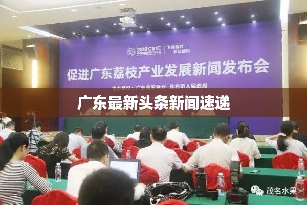 广东最新头条新闻速递