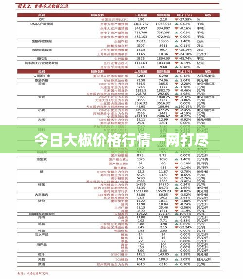 2025年5月16日