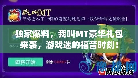 2025年5月17日