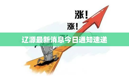 辽源最新消息今日通知速递