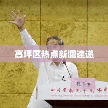 高坪区热点新闻速递