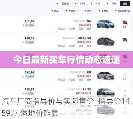 今日最新买车行情动态速递