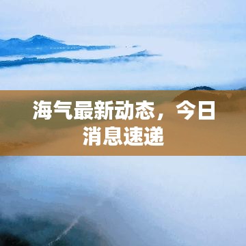 海气最新动态，今日消息速递