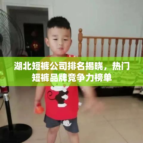 湖北短裤公司排名揭晓，热门短裤品牌竞争力榜单