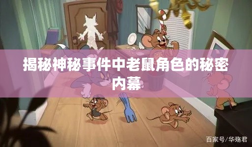 揭秘神秘事件中老鼠角色的秘密内幕