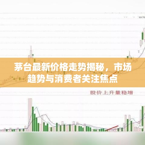 茅台最新价格走势揭秘，市场趋势与消费者关注焦点