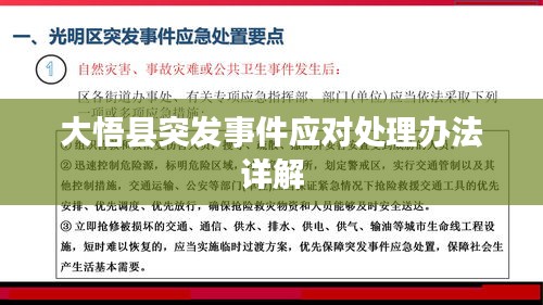大悟县突发事件应对处理办法详解