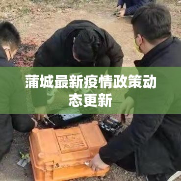 蒲城最新疫情政策动态更新