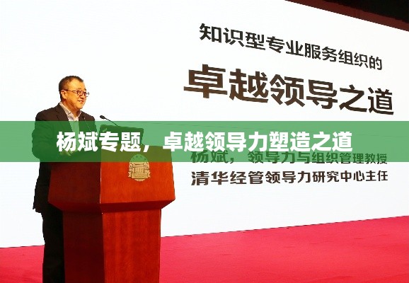 杨斌专题，卓越领导力塑造之道
