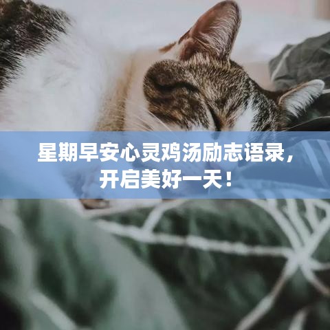星期早安心灵鸡汤励志语录，开启美好一天！