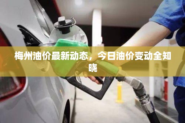 梅州油价最新动态，今日油价变动全知晓