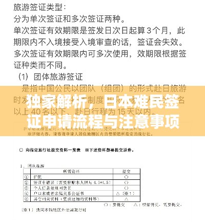 独家解析，日本难民签证申请流程与注意事项全攻略