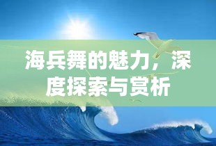 海兵舞的魅力，深度探索与赏析