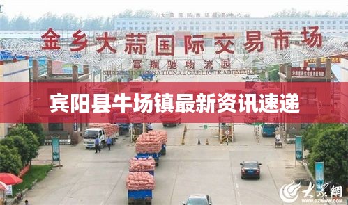 宾阳县牛场镇最新资讯速递