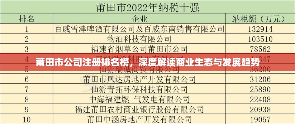 莆田市公司注册排名榜，深度解读商业生态与发展趋势