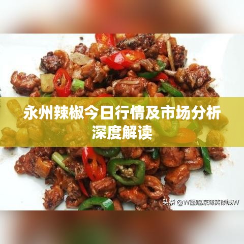 永州辣椒今日行情及市场分析深度解读
