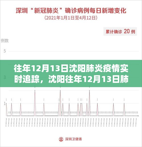 沈阳往年12月13日肺炎疫情实时追踪深度分析与个人观点分享