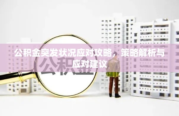 公积金突发状况应对攻略，策略解析与应对建议