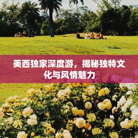 美西独家深度游，揭秘独特文化与风情魅力