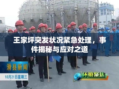 王家坪突发状况紧急处理，事件揭秘与应对之道