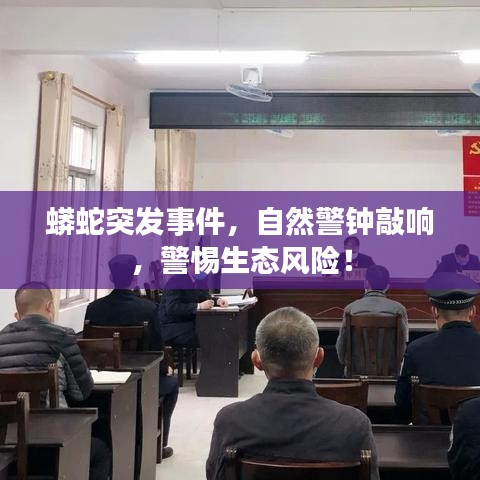蟒蛇突发事件，自然警钟敲响，警惕生态风险！