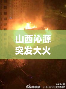虎背熊腰 第2页