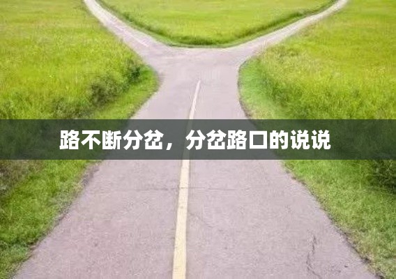 路不断分岔，分岔路口的说说 