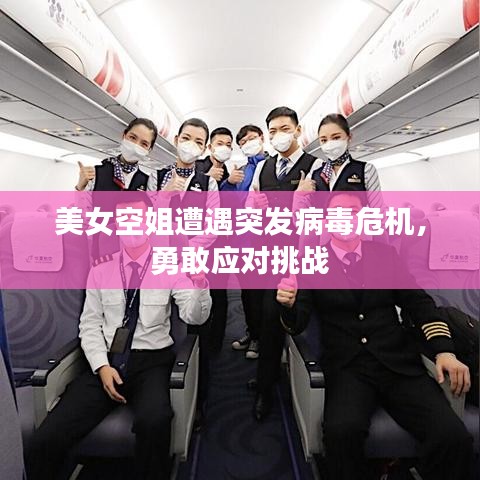 美女空姐遭遇突发病毒危机，勇敢应对挑战
