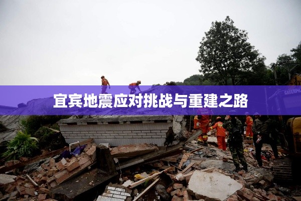 宜宾地震应对挑战与重建之路