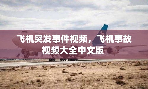 飞机突发事件视频，飞机事故视频大全中文版 