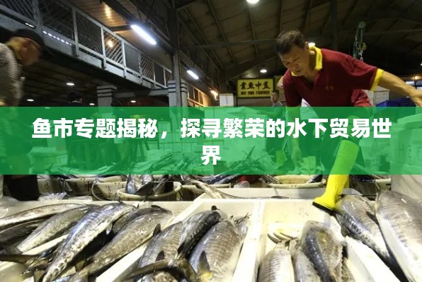 鱼市专题揭秘，探寻繁荣的水下贸易世界