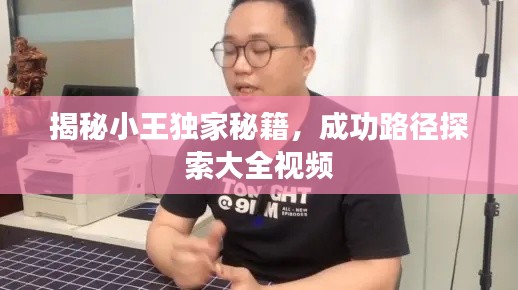 揭秘小王独家秘籍，成功路径探索大全视频